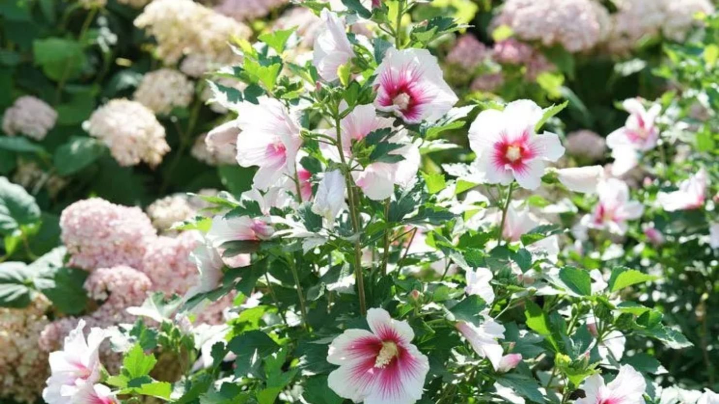 Why It Becomes a Problem