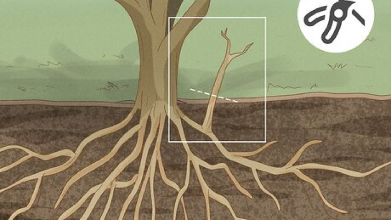 Smothering the Roots