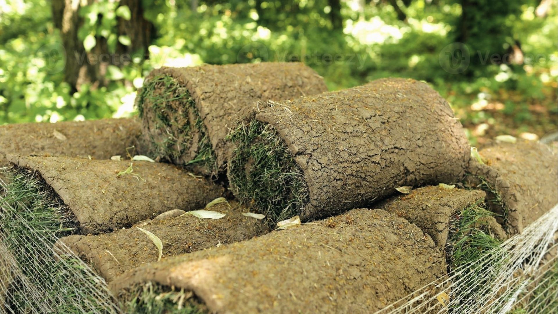 Stacked sod rolls show exposed soil and roots, similar to grub-damaged turf that peels easily