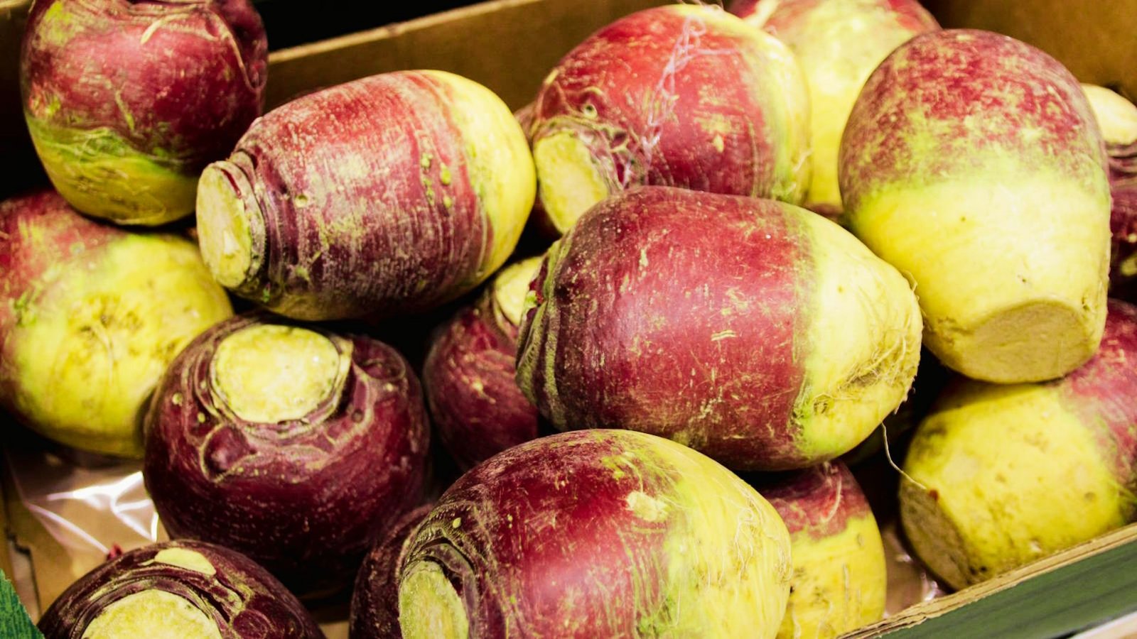 Pile of purple and yellow rutabagas with trimmed tops in a cardboard box.