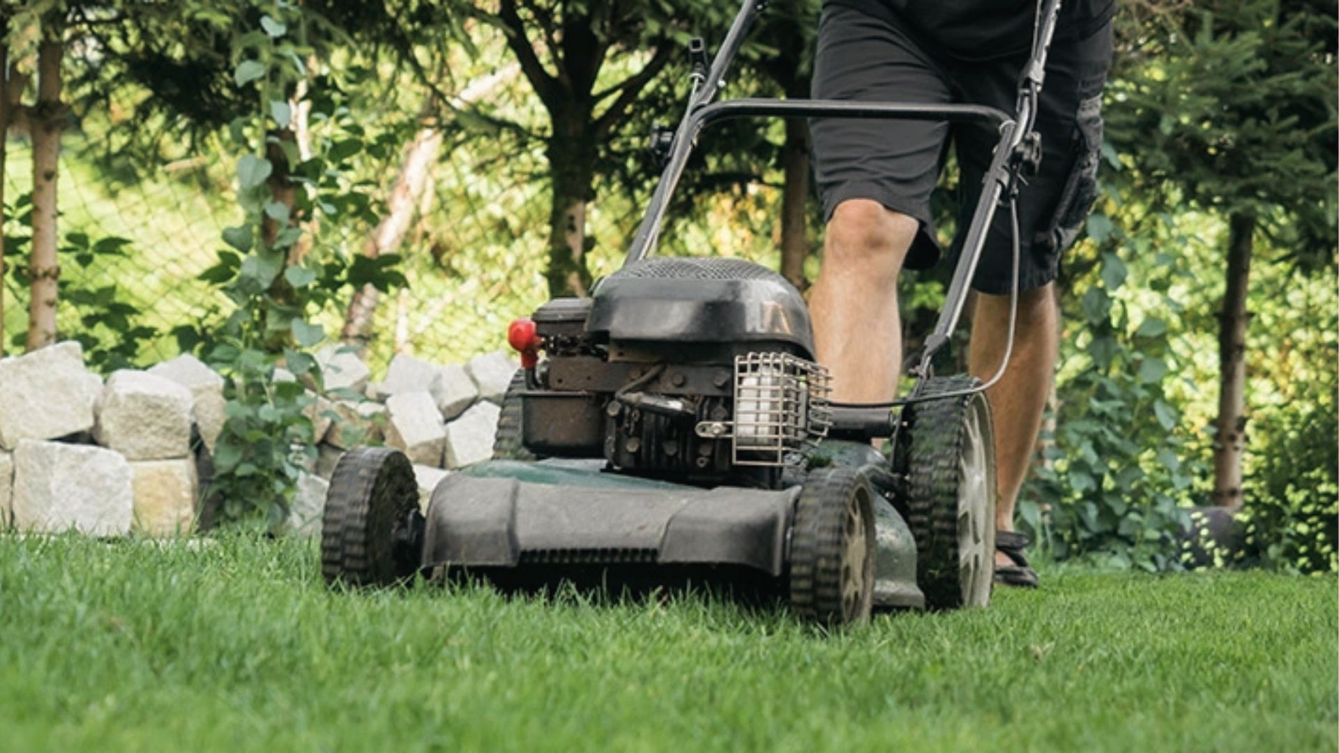 Check new sod height with a lawn mower nearby, wait until grass reaches 3-4 inches to cut.