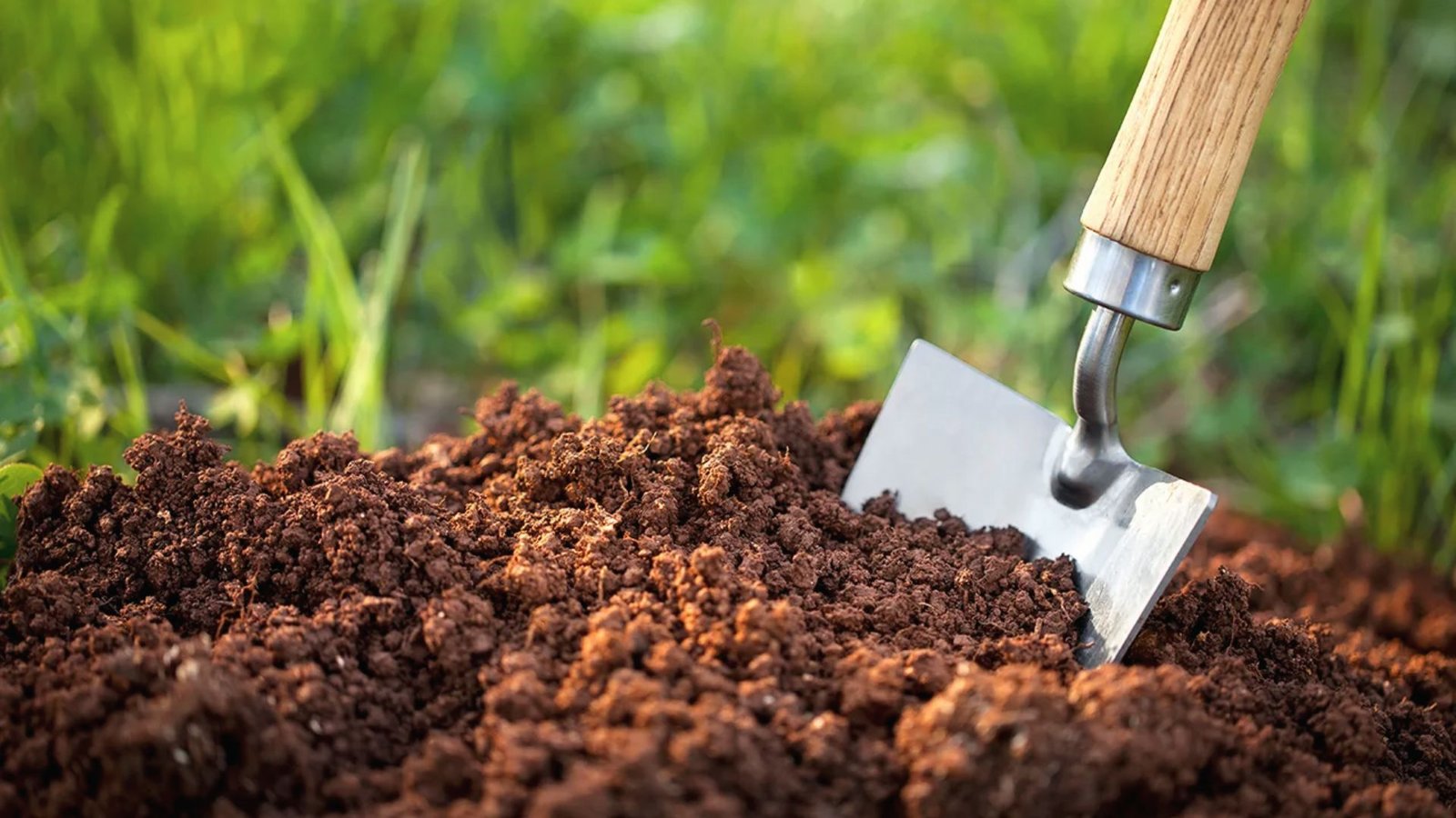 Overhead view of fine, dark garden soil spread on burlap next to a hand trowel, hand fork, and seedling pots.