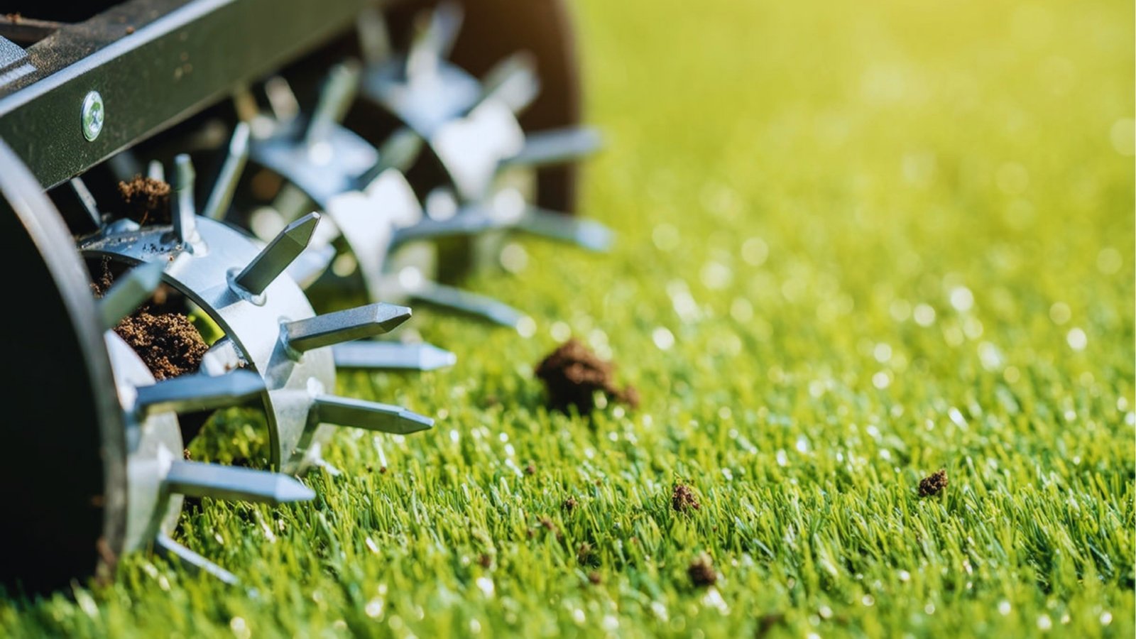 Close-up of metal spike aerator drum with sharp tines rolling over bright green grass with soil cores and dirt visible.