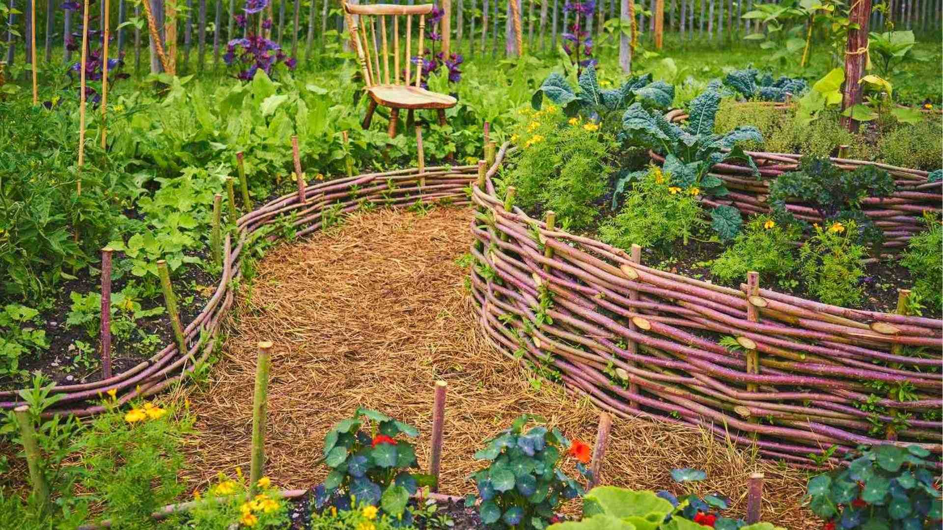 Woven wattle raised beds with kale, marigolds, and straw paths show natural 20x20 garden layout.