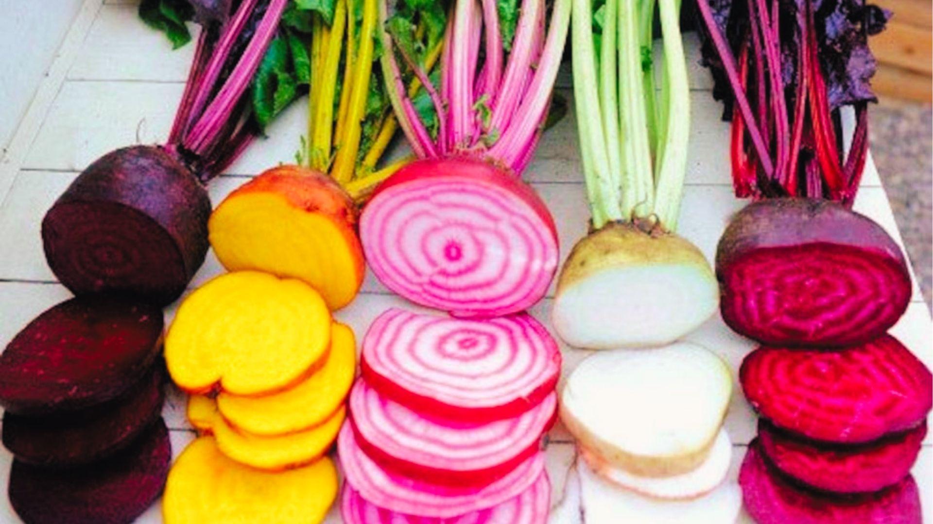 Assorted beet varieties sliced to display colors: red, golden, chioggia, and white types side by side.
