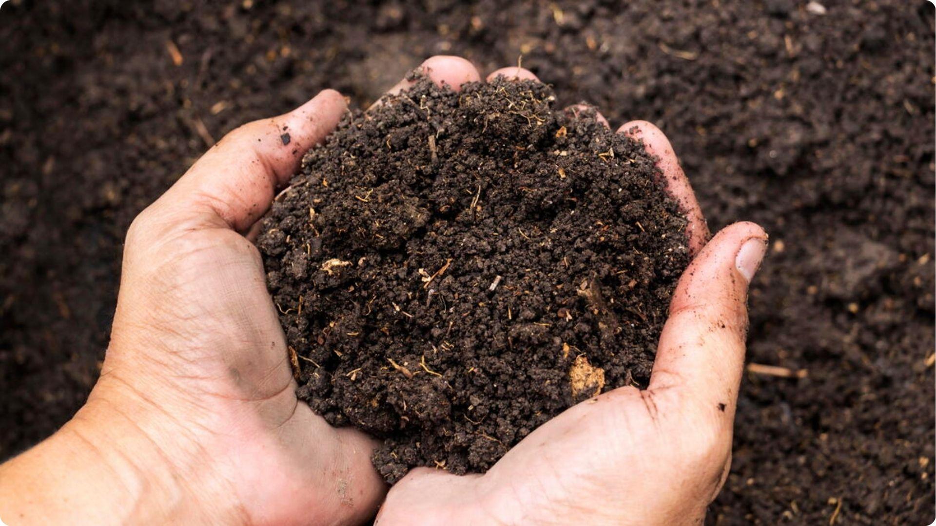 How to Prepare Soil Before Planting the Next Crop