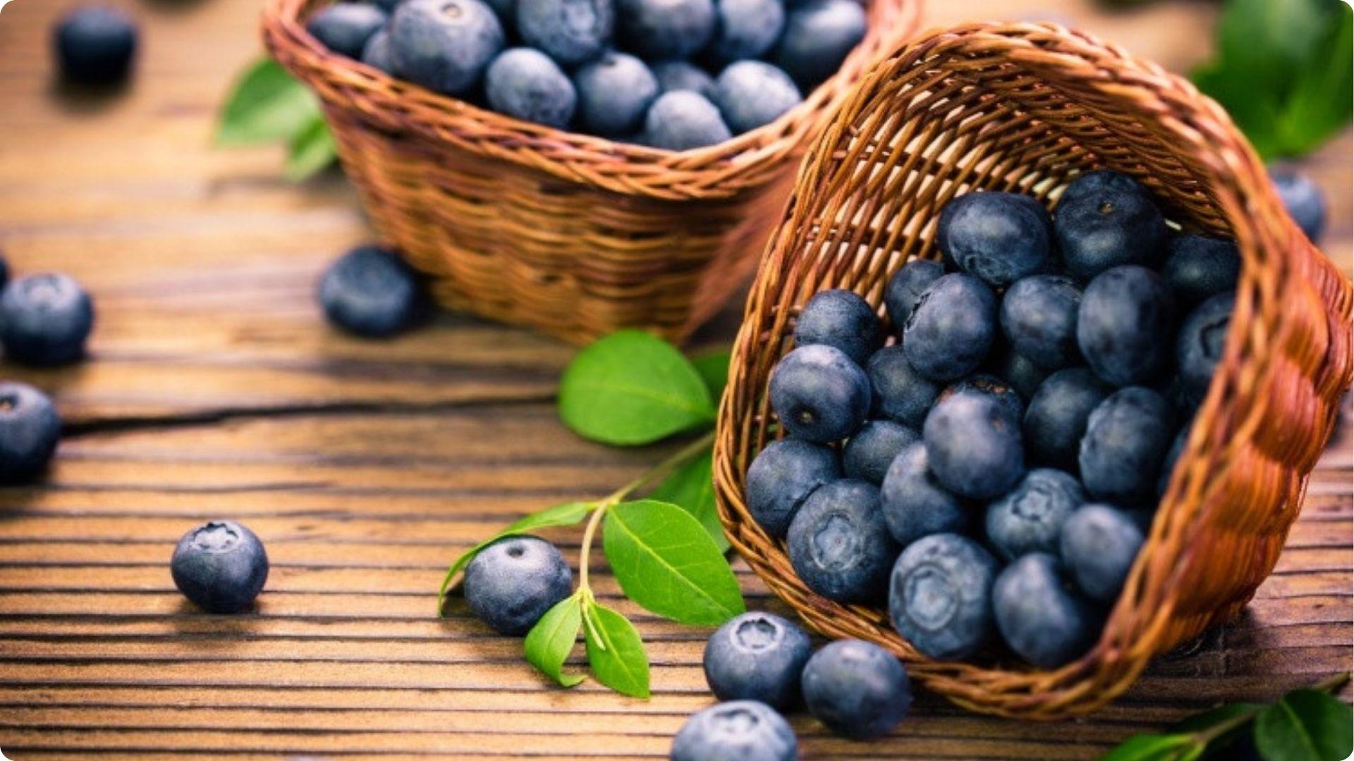 Fresh harvested blueberries spilling from wicker baskets on wood table showing the bigger harvests possible with proper pollination