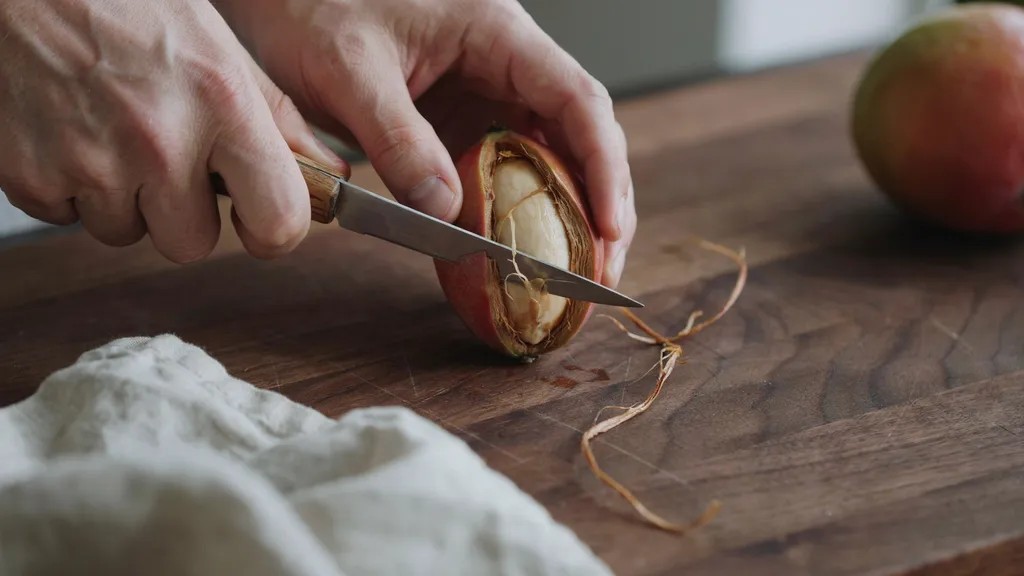 A mango pit being carefully opened with a knife to reveal the inner seed, showing the correct method for removing the husk before planting.