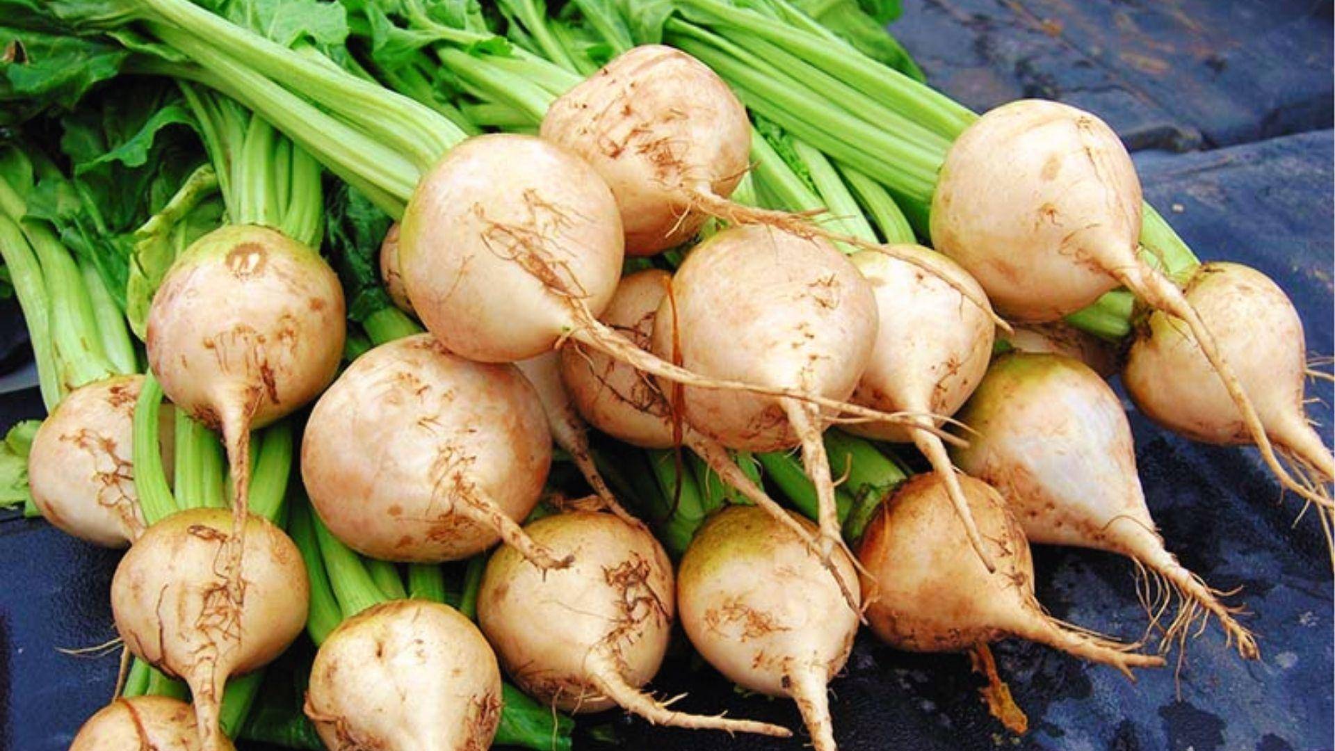 Pile of fresh white beets with pale cream skin, long taproots, and vibrant green leafy stems.