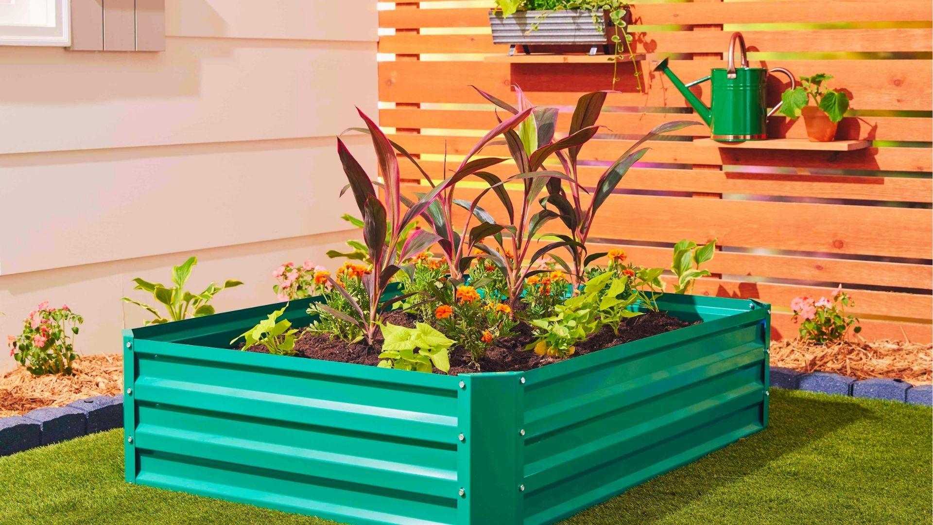 The teal raised bed holds marigolds, leafy greens, and purple plants for pest control in a small garden space.
