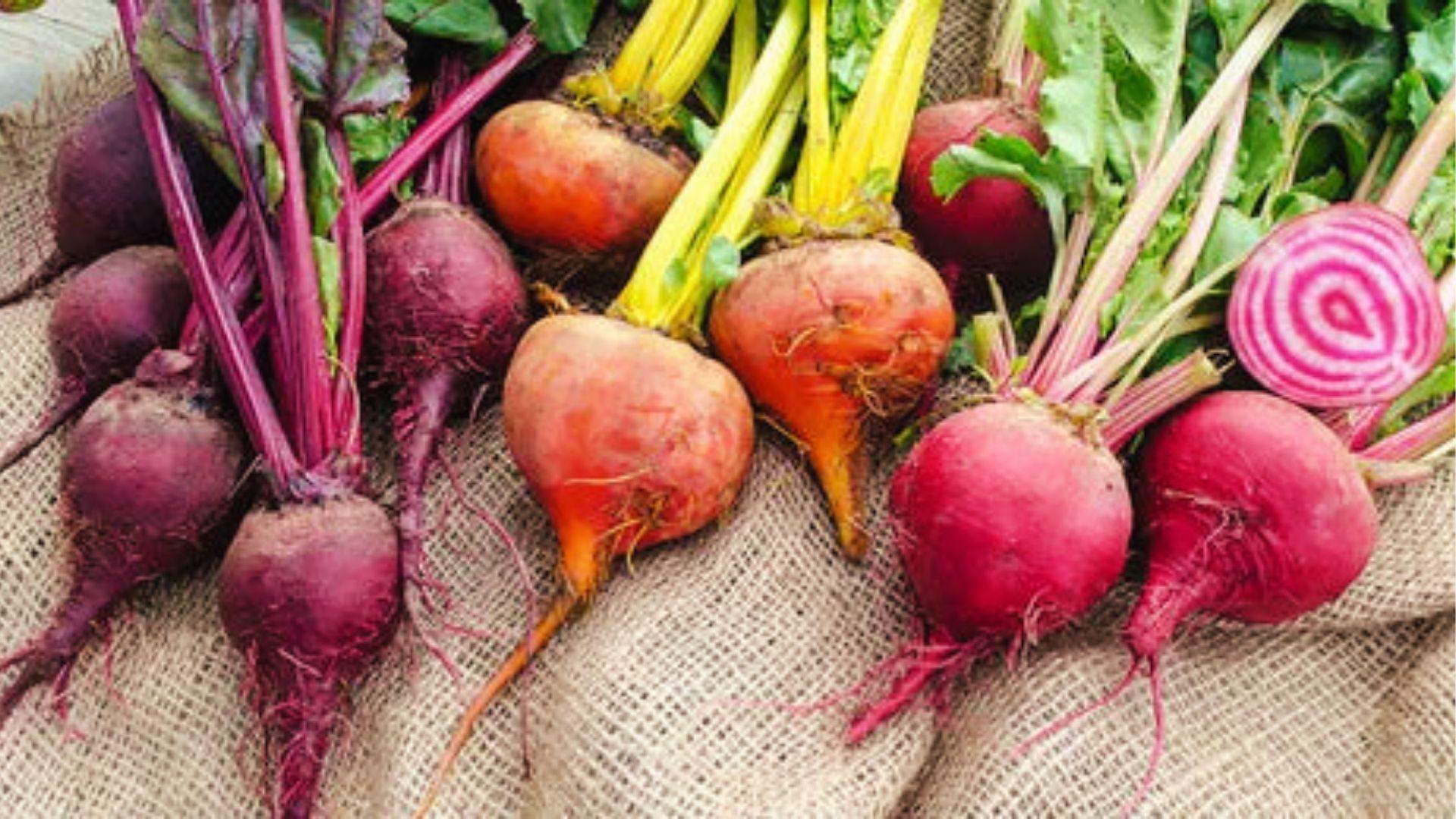 Assorted beet types including red, golden, and Chioggia beets with pink stems laid on burlap cloth.